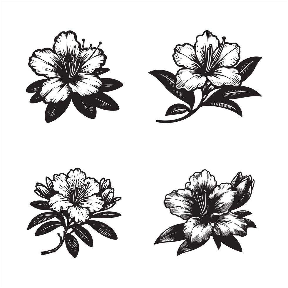 Beautiful flowers isolated on white background vector