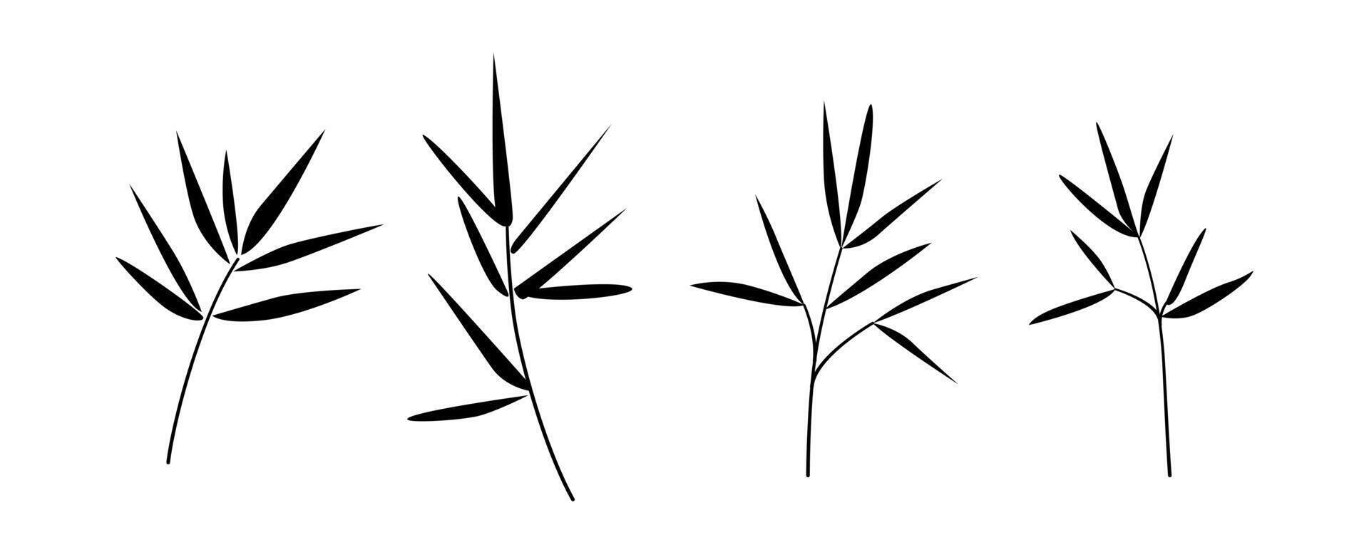 Bamboo branches and stems silhouettes. Hand drawn bamboo tree leaves, foliage. Botanical drawing collection. . vector
