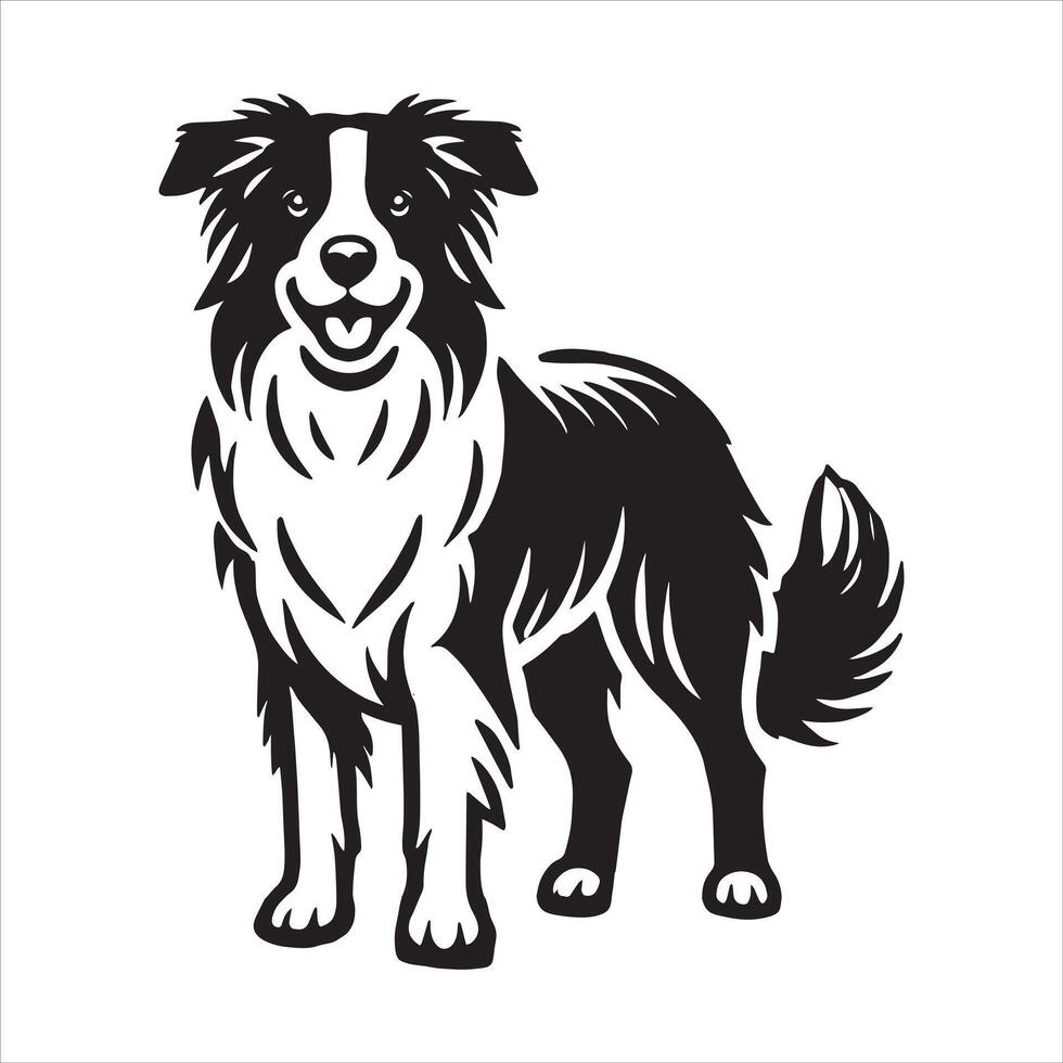 Border Collie dog isolated transparent background vector