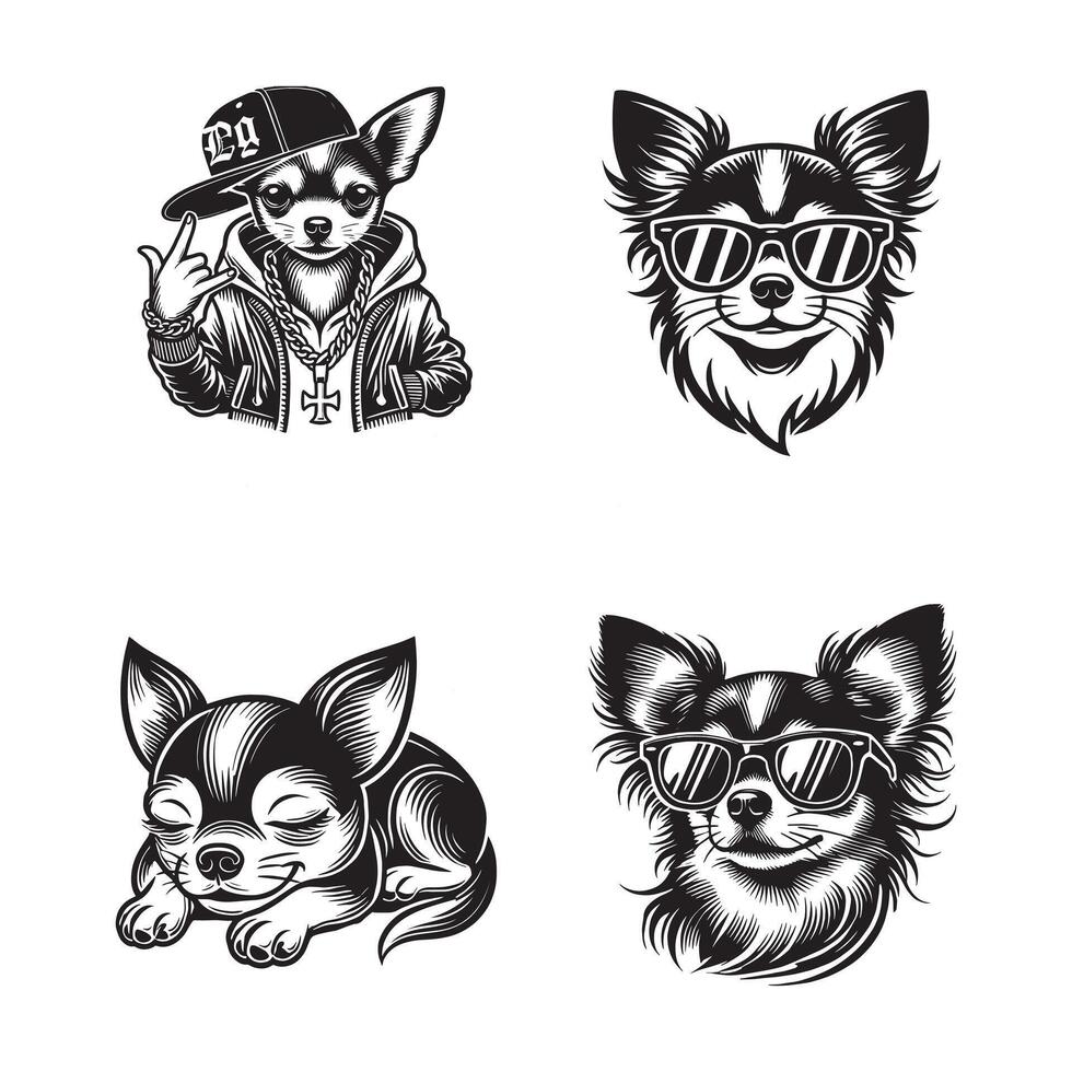 ChihuahuaIn Rapper and Sunglass Dog Bundle White Background vector