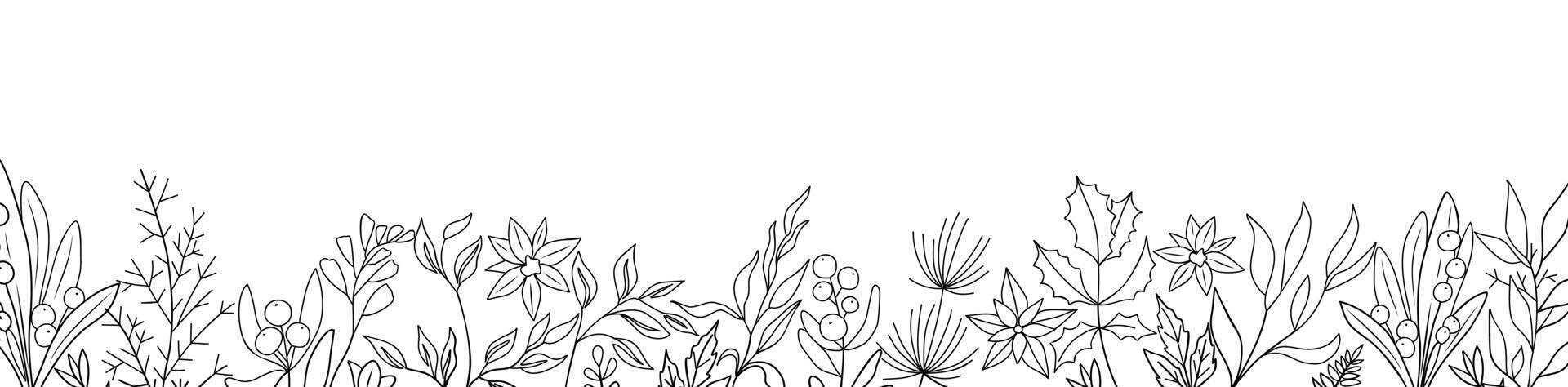 Wild winter flowers, plants border line art vector