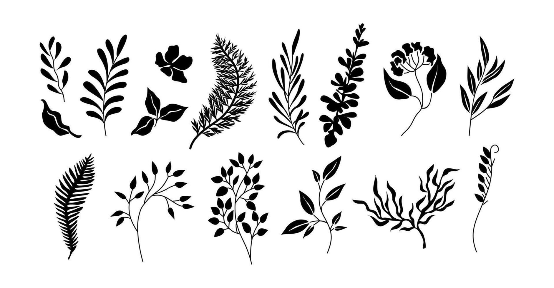 Set of black silhouettes of wild plant leaves. vector