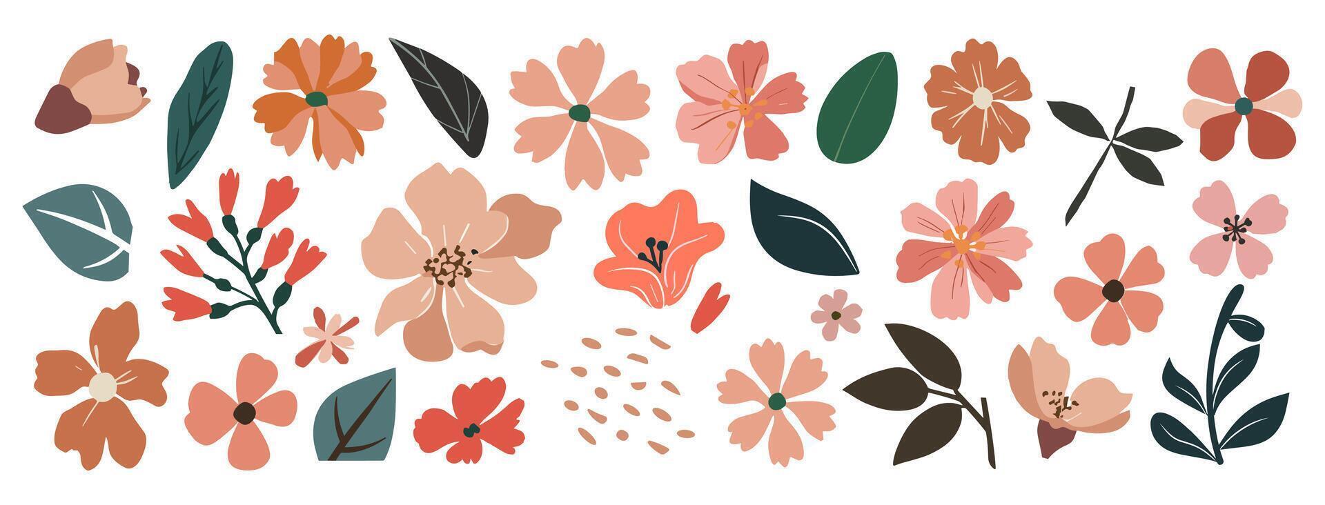 Set of hand drawn floral design elements . vector