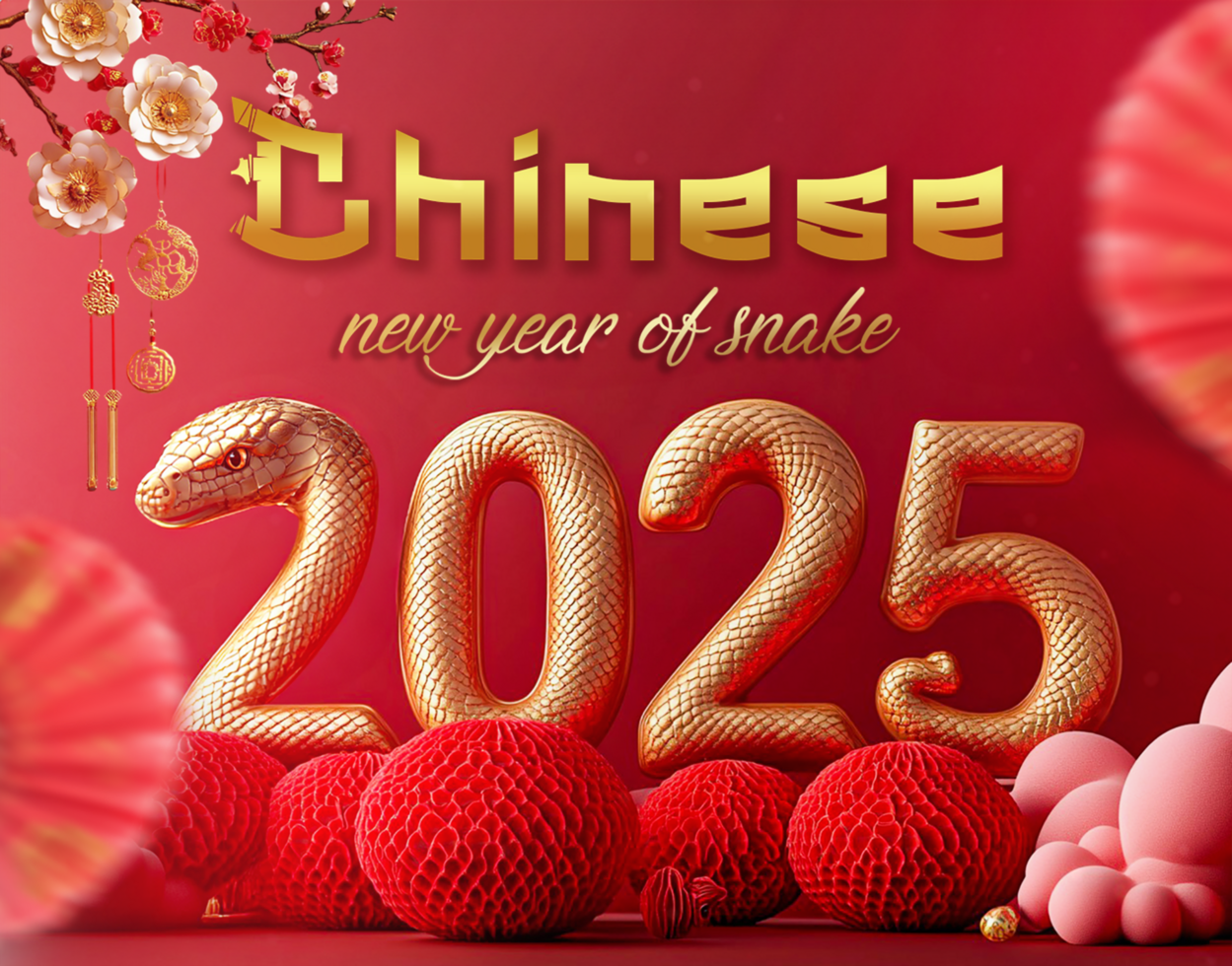 Chinese new year 2025 poster template design with Chinese new year snake text design psd