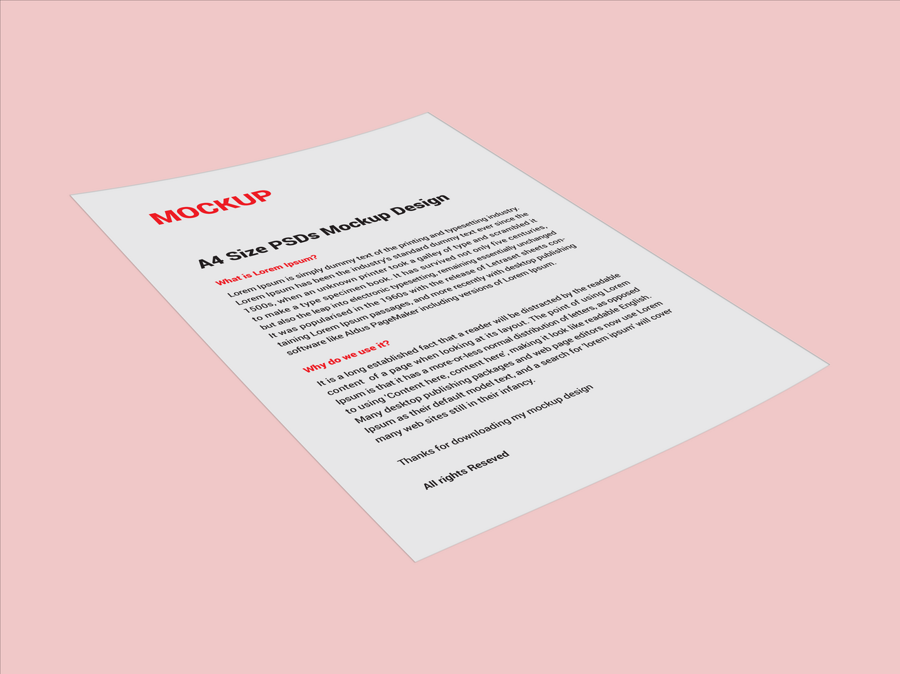Premium Sell sheets Menu poster pamphlet invoice Letterhead fax cover flyer sale sheet Letter mockup file psd