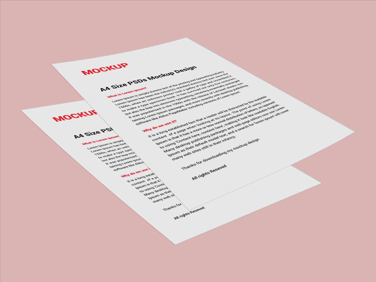 Premium Sell sheet Menu poster pamphlet invoice Letterhead fax cover flyer sale sheet Letter mockup files psd