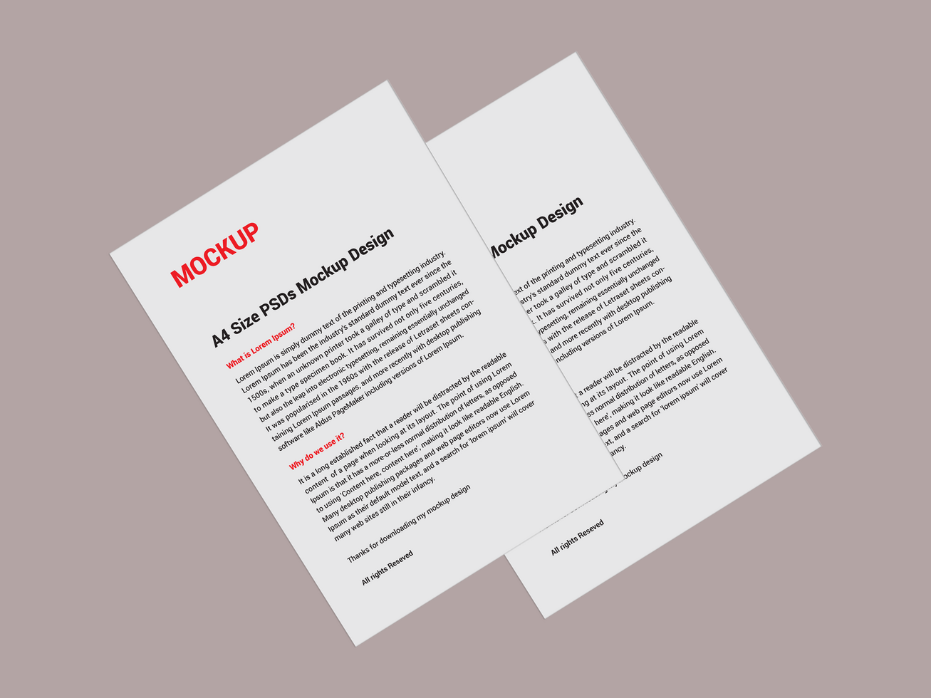 Premium Sell sheet Menu poster pamphlet invoices Letterhead fax cover flyer sale sheet and Letter mockup file psd