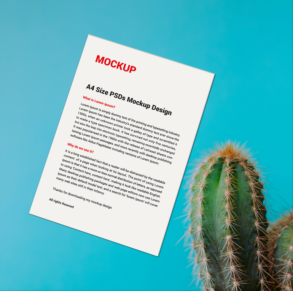 Sell sheet Menu poster pamphlet invoice Letterhead fax cover flyer sale sheet Letter mockup psd
