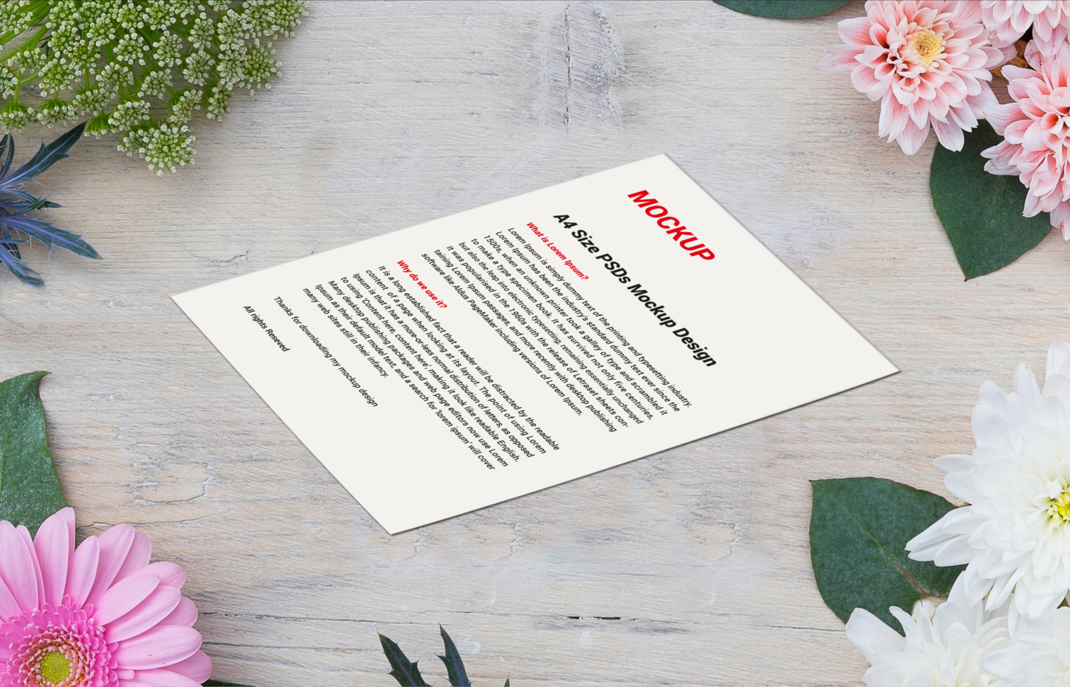 Premium Sell sheet Menu poster pamphlet invoice Letterhead fax covers flyers sale sheets Letters mockup file psd