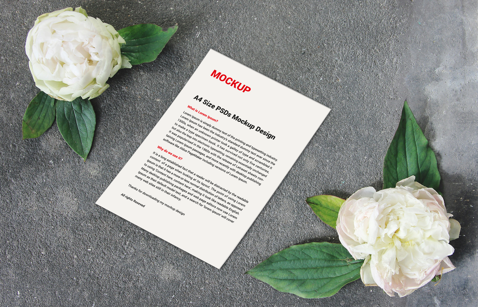Premium Sell sheet Menu poster pamphlet invoice Letterhead fax cover flyer sale sheet or Letters mockup file psd
