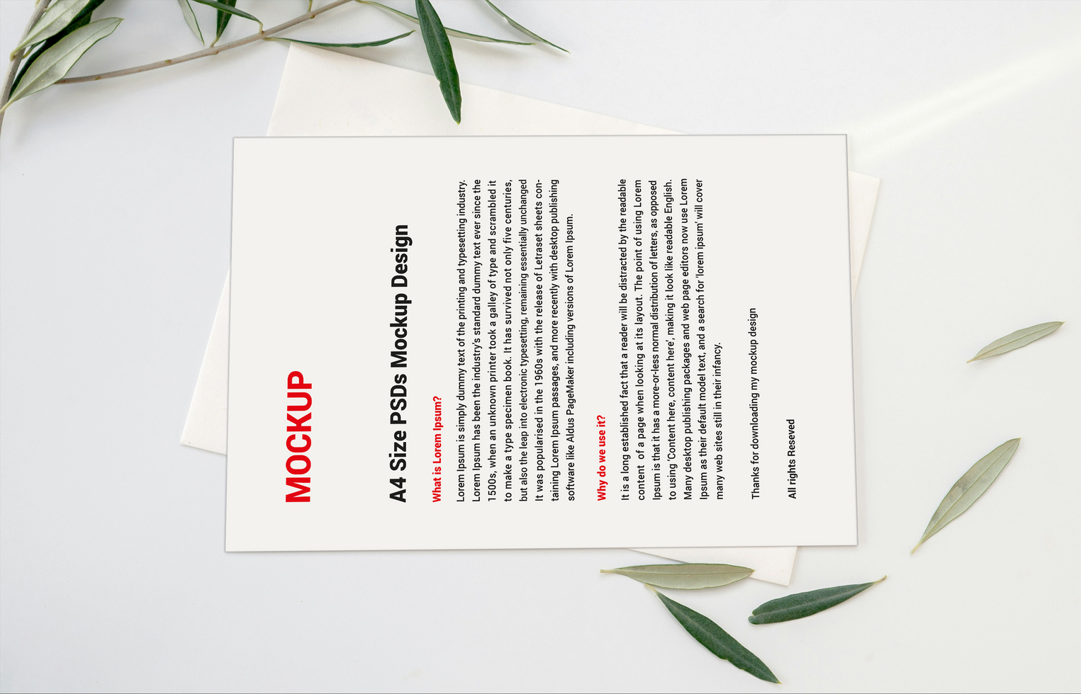 Excellent Sell sheet Menu poster pamphlet invoice Letterhead fax covers flyers sale sheets and Letters mockup file psd