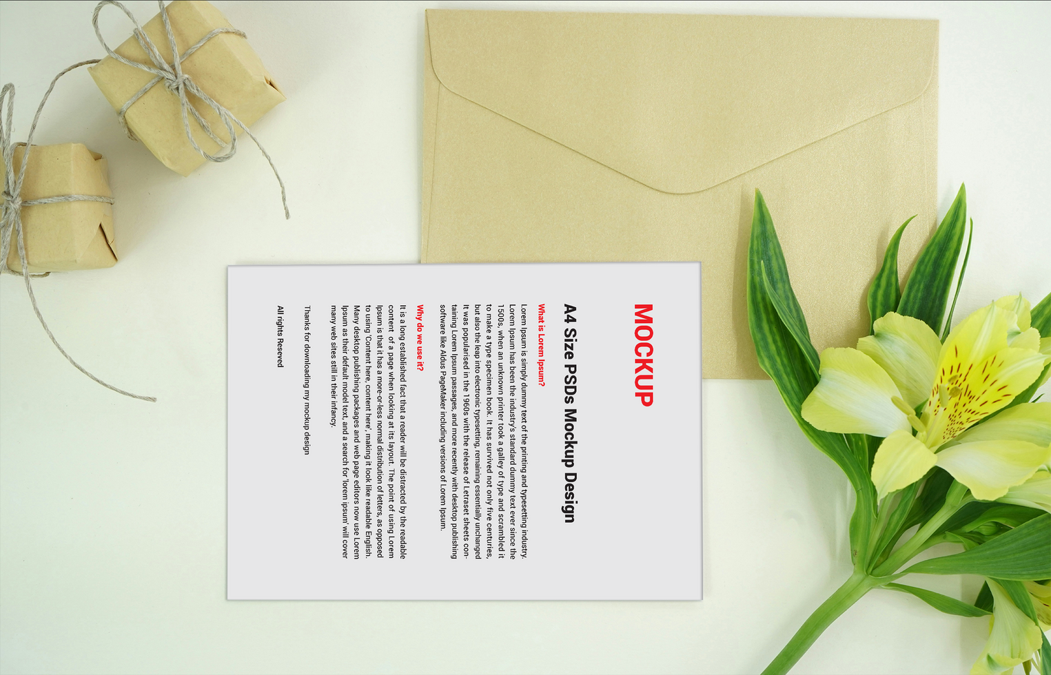 Business Menu poster pamphlet invoice Letterhead fax covers flyer and Letter Mockup file psd