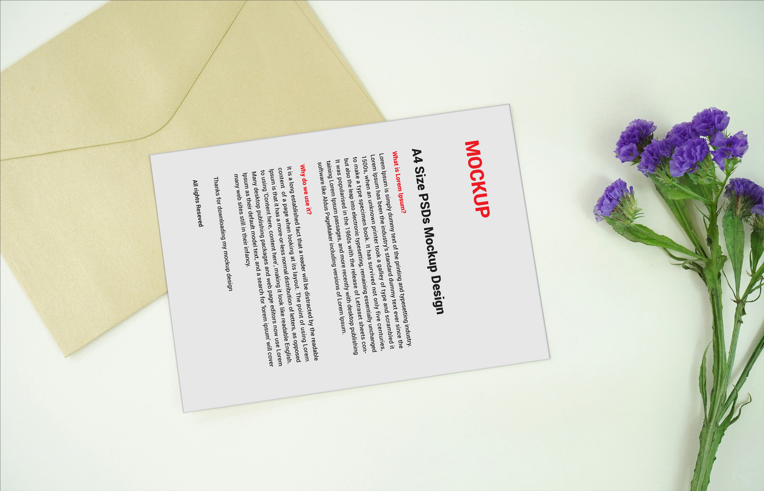 Menu poster pamphlet invoice Letterhead fax covers flyers Letter Mockup files psd