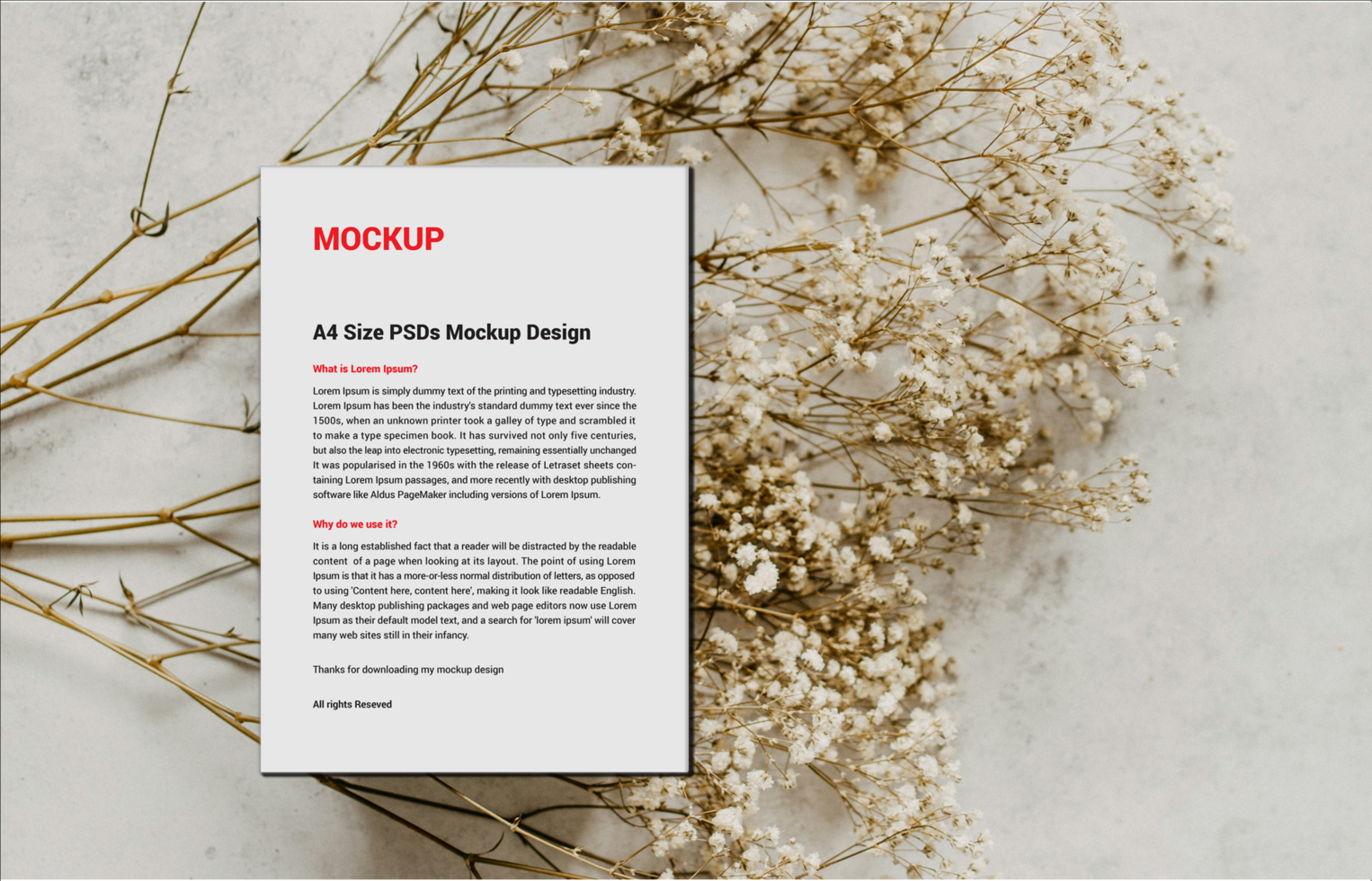 Excellent Menu poster pamphlet invoice Letterheads fax cover flyer or Letter Mockup file psd
