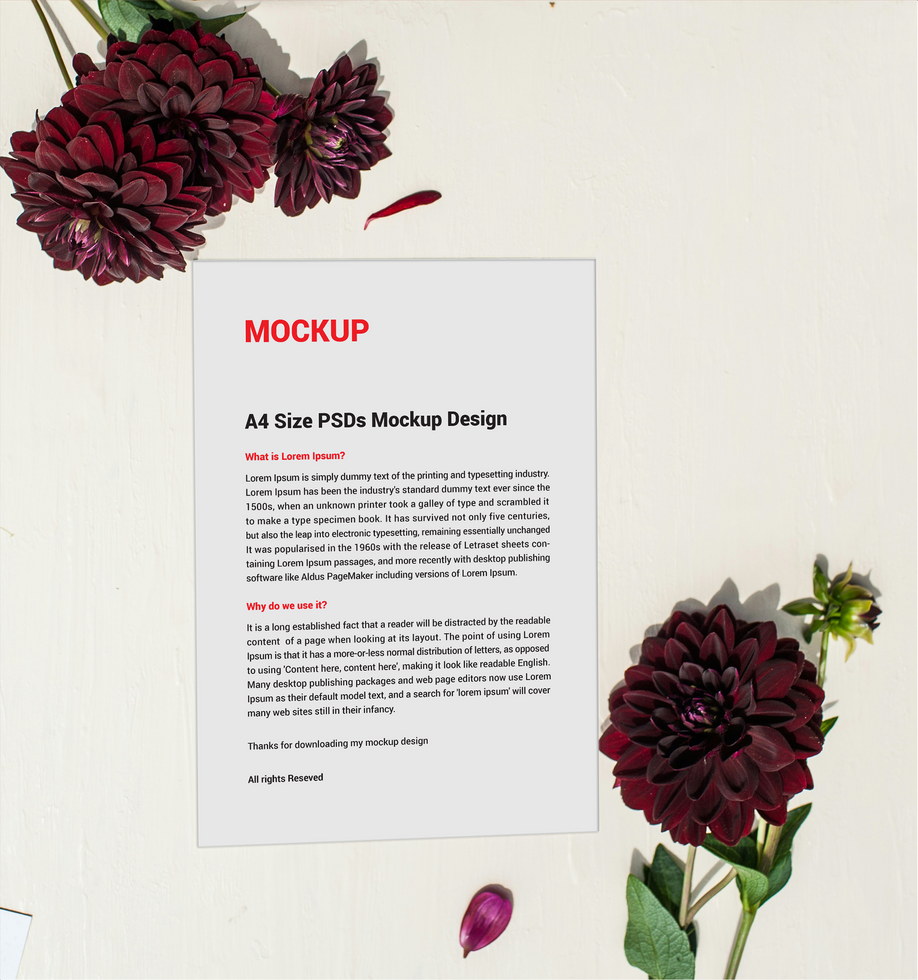 Menu posters pamphlet invoice Letterhead fax covers flyer Letter Mockup file psd