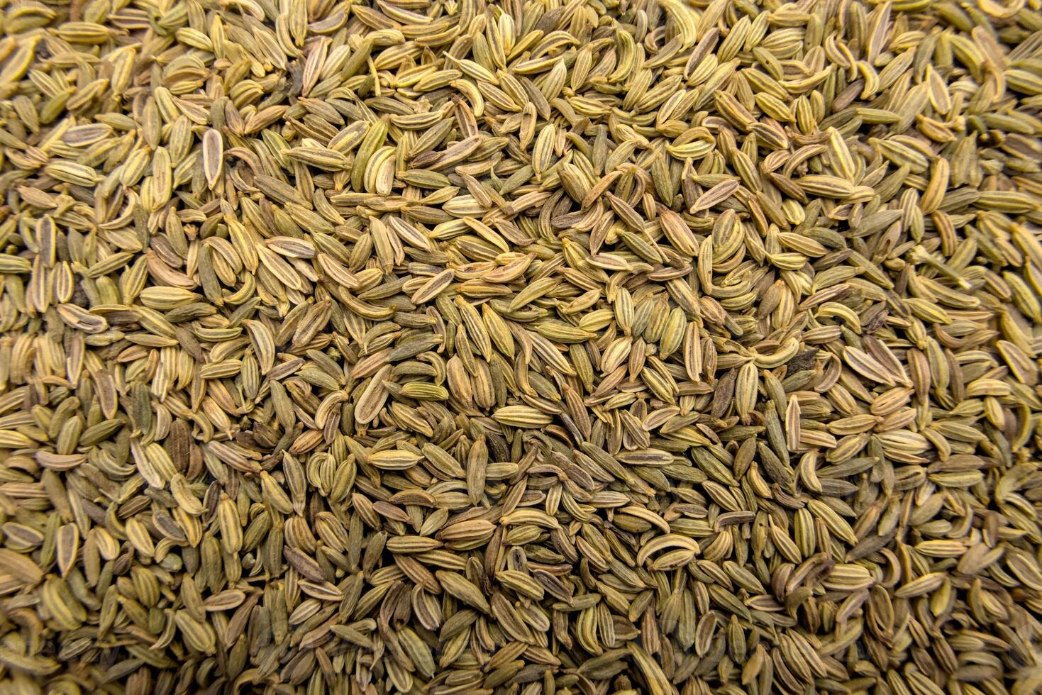 Full-Frame Close-Up of Fennel Seeds Top View Textured Herbal Ingredient Macro photo