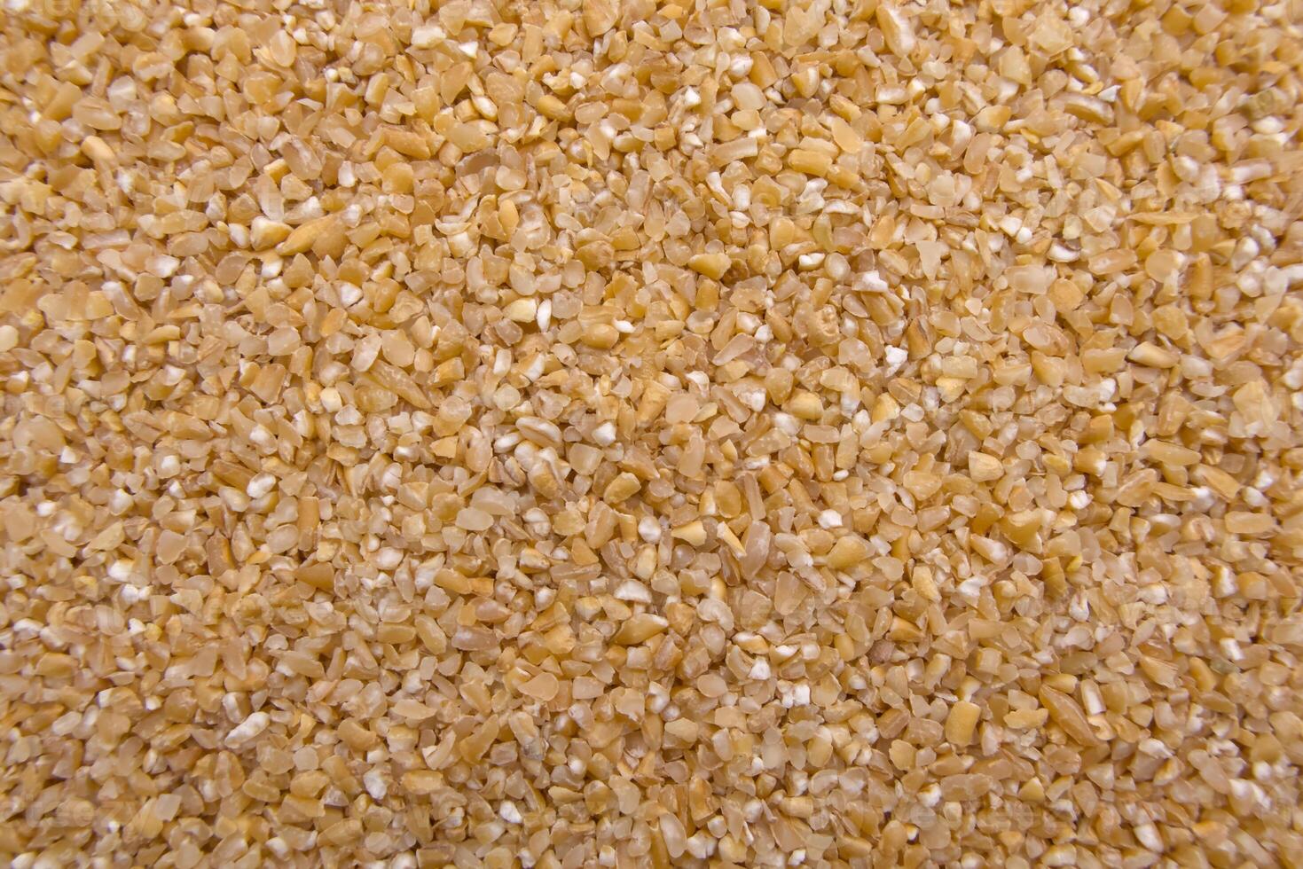Full-Frame Close-Up of Broken Wheat Dalia - Cracked Wheat Texture Macro photo
