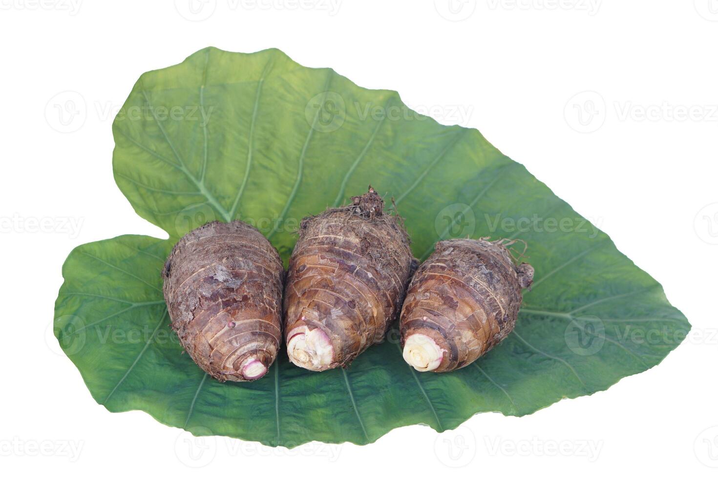Fresh organic taro roots on leaf isolated on white background. Concept, edible plant root that can be cooked for many delicious menu of food and dessert. Agricultural crops. photo