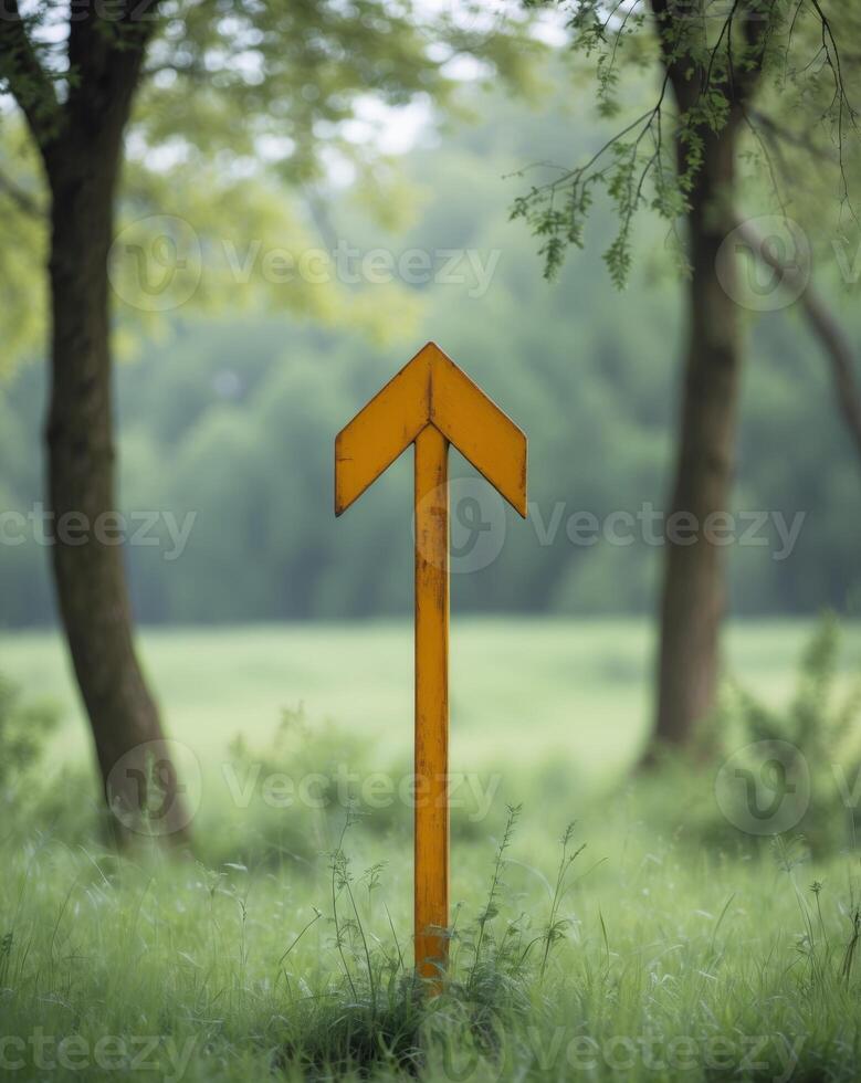 Rustic Yellow Arrow Sign in Natural Setting photo