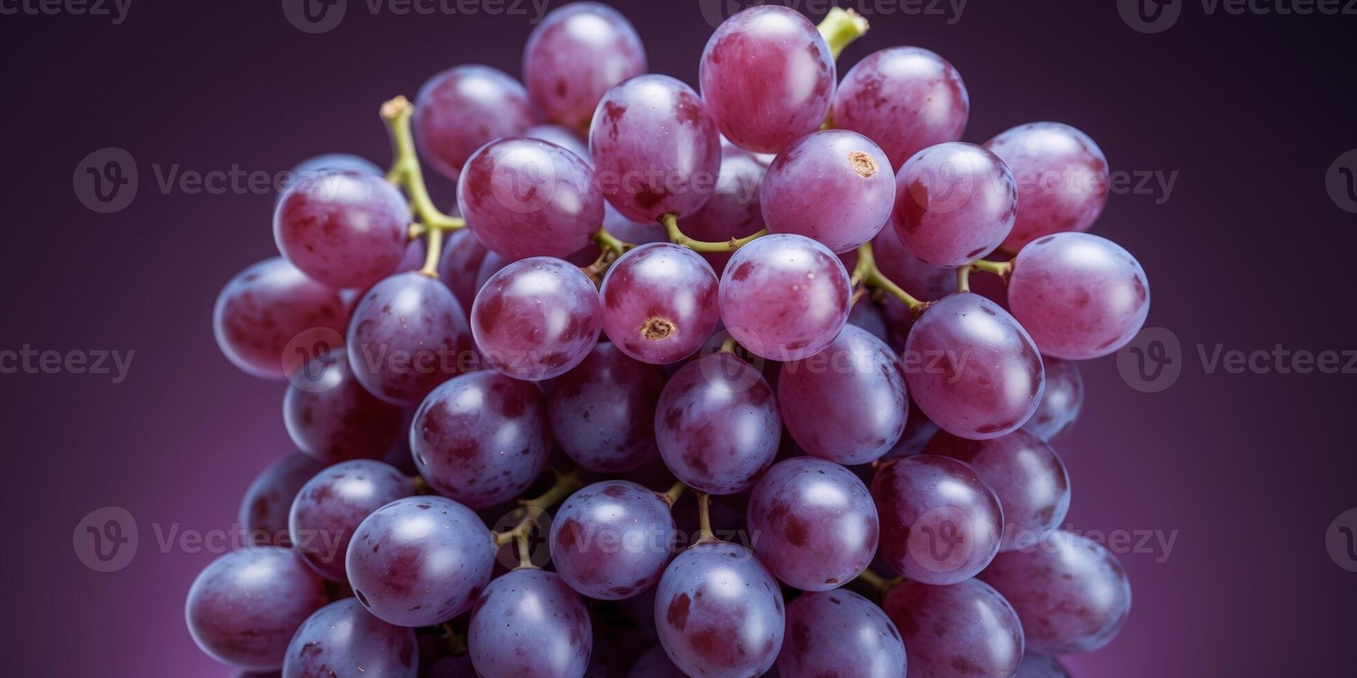 Close Up of Pink Grapes on a Purple Background photo