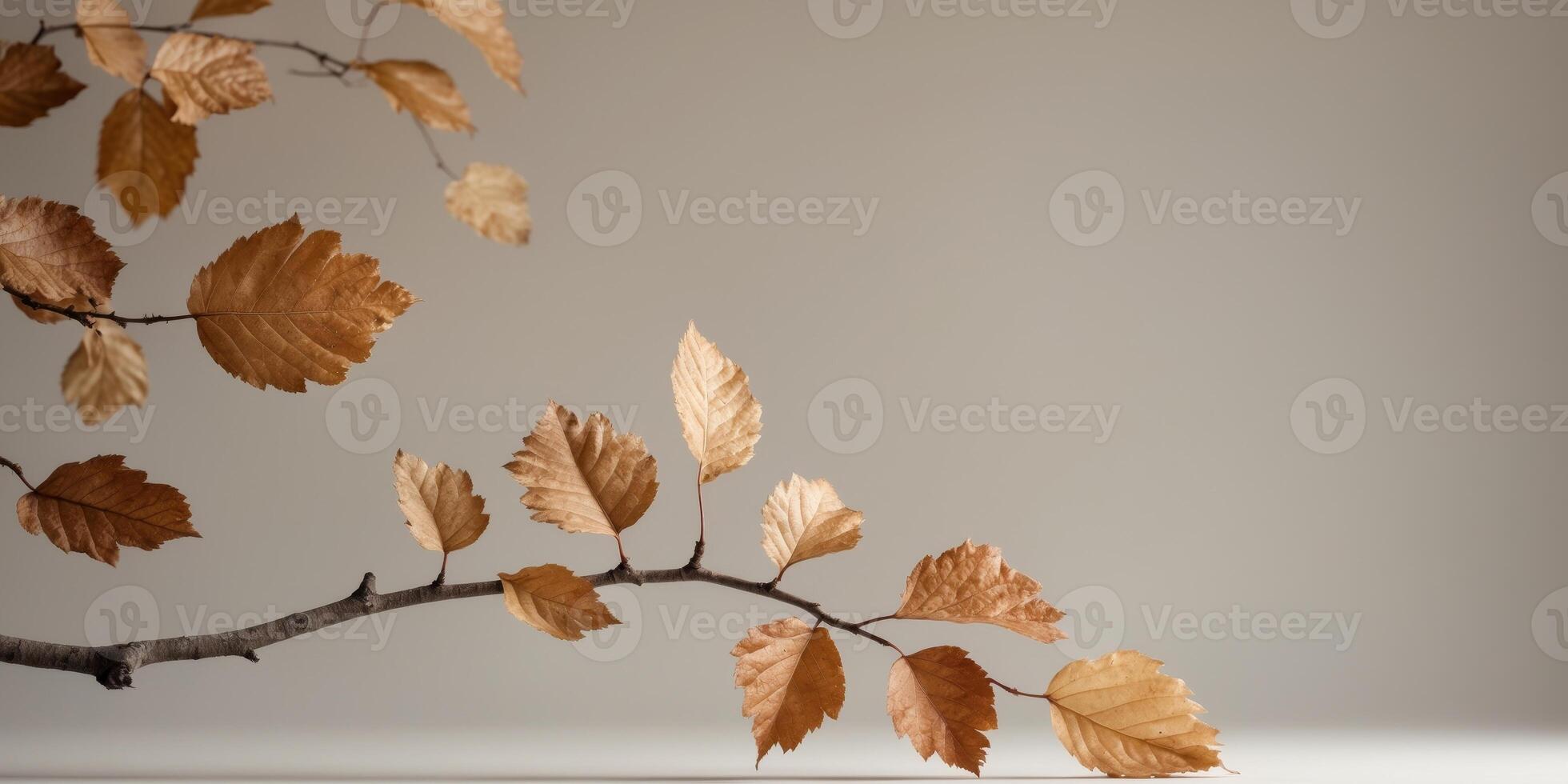 A Single Branch of Autumn Leaves with Brown HuesA Single Branch of Autumn Leaves with Brown Hues. photo