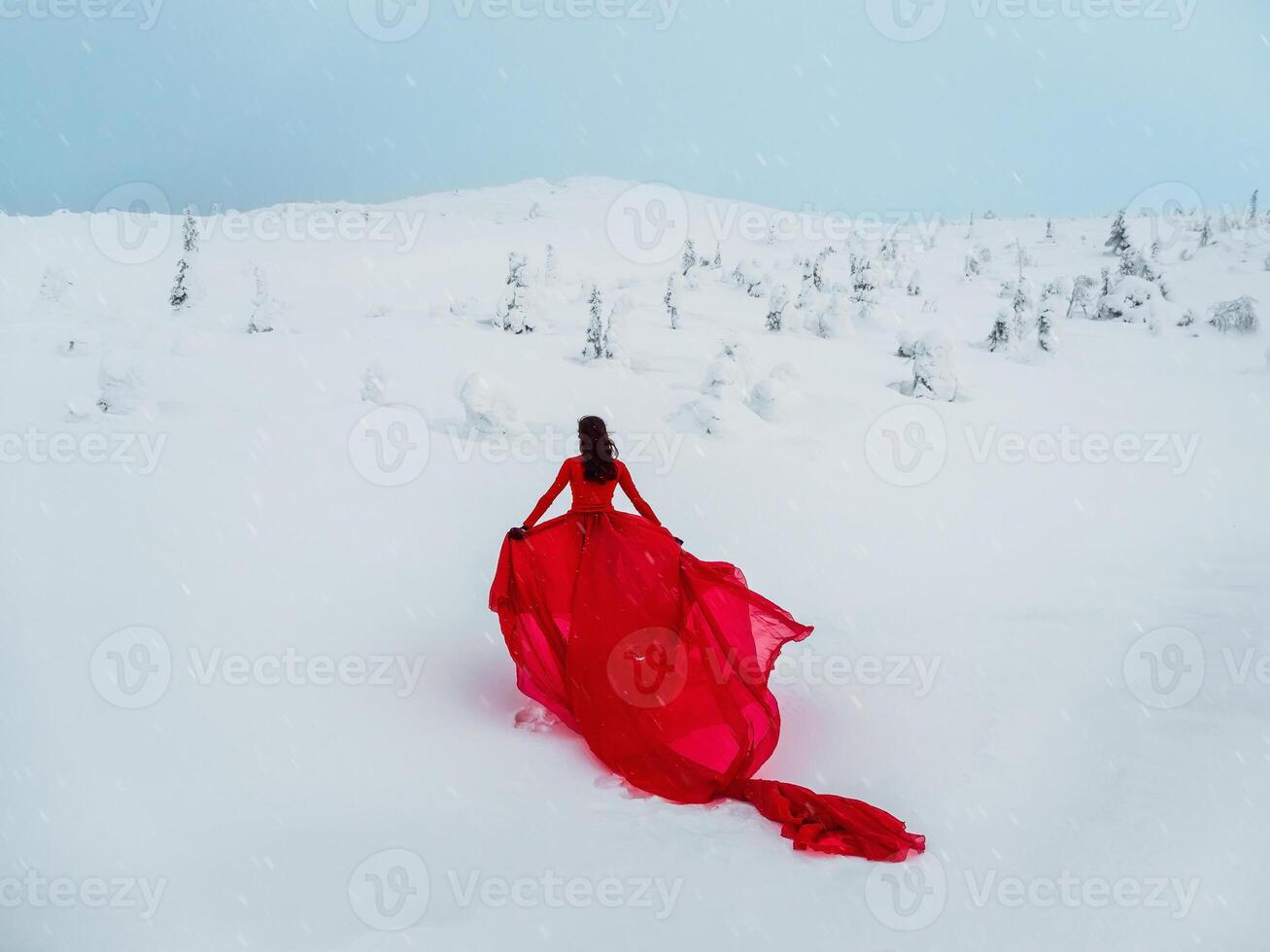 woman in long red dress over winter hill background and snowfall. Fairy tale girl on polar winter landscape. View from the back. photo