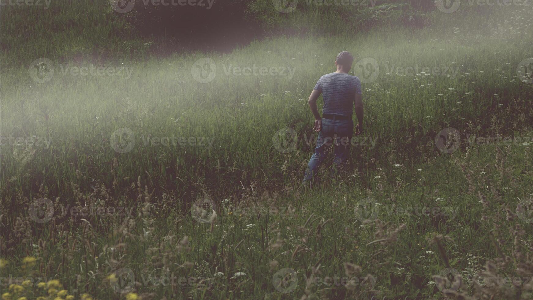 A lone male figure walking away in a foggy field in summer with a dark muted edit photo