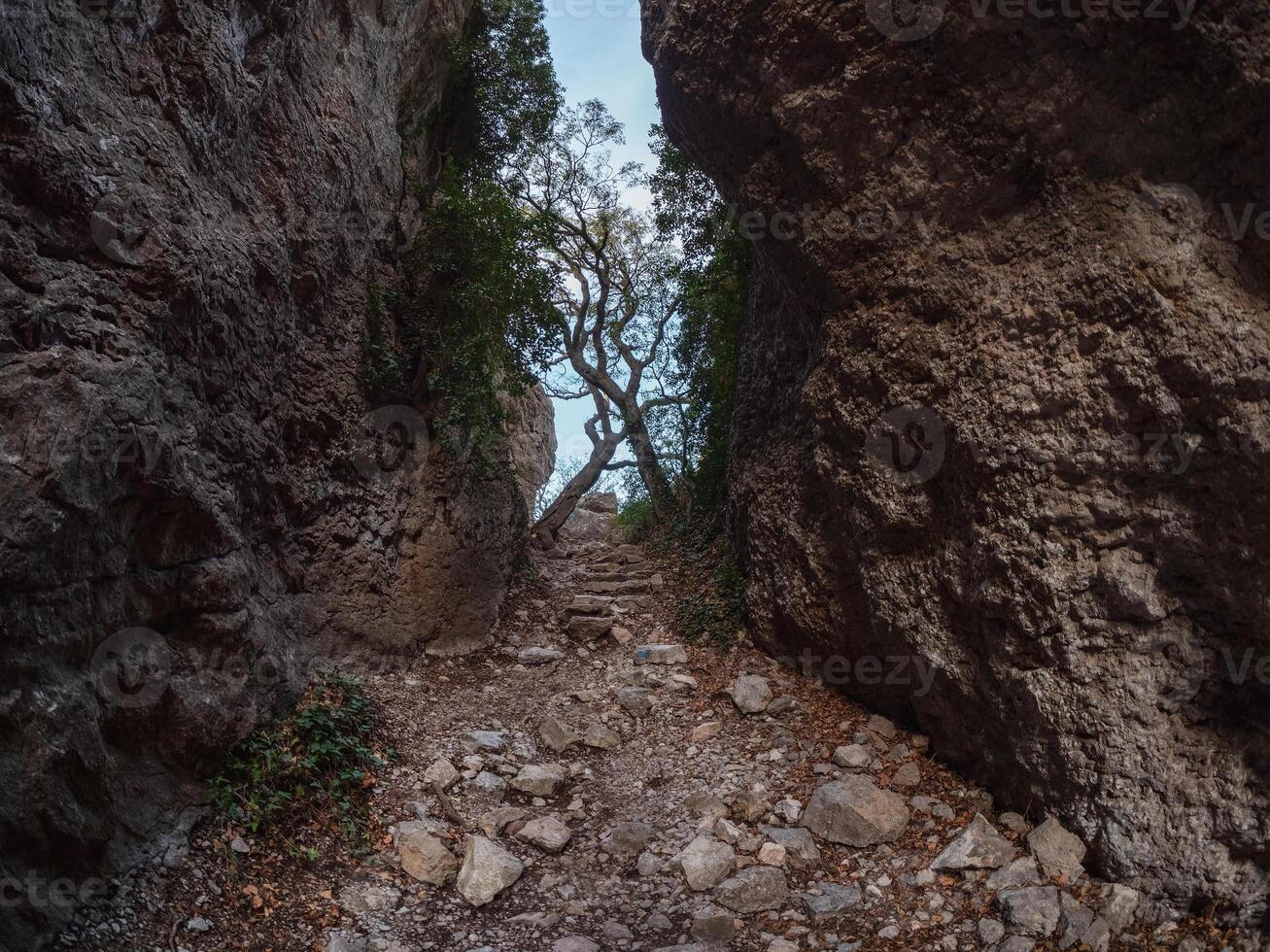 path between the rocks photo