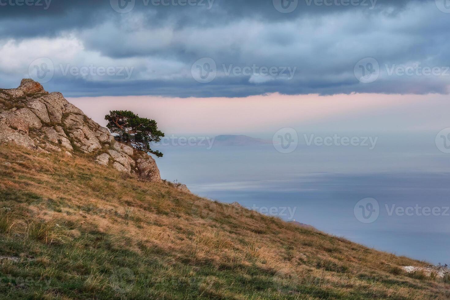 A diagonal slope with a single tree at dusk. photo