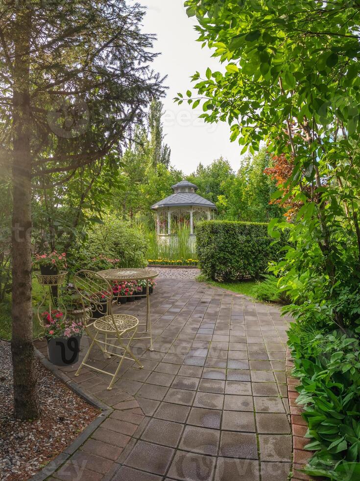 Beautiful landscaping of the summer park. photo