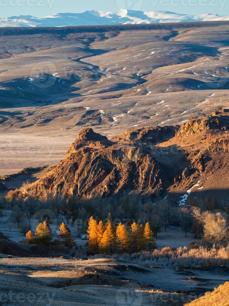 Sunny autumn slope with golden larches, long view photo