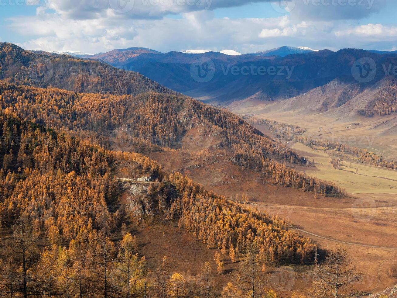 Mountains covered with autumn forest. photo