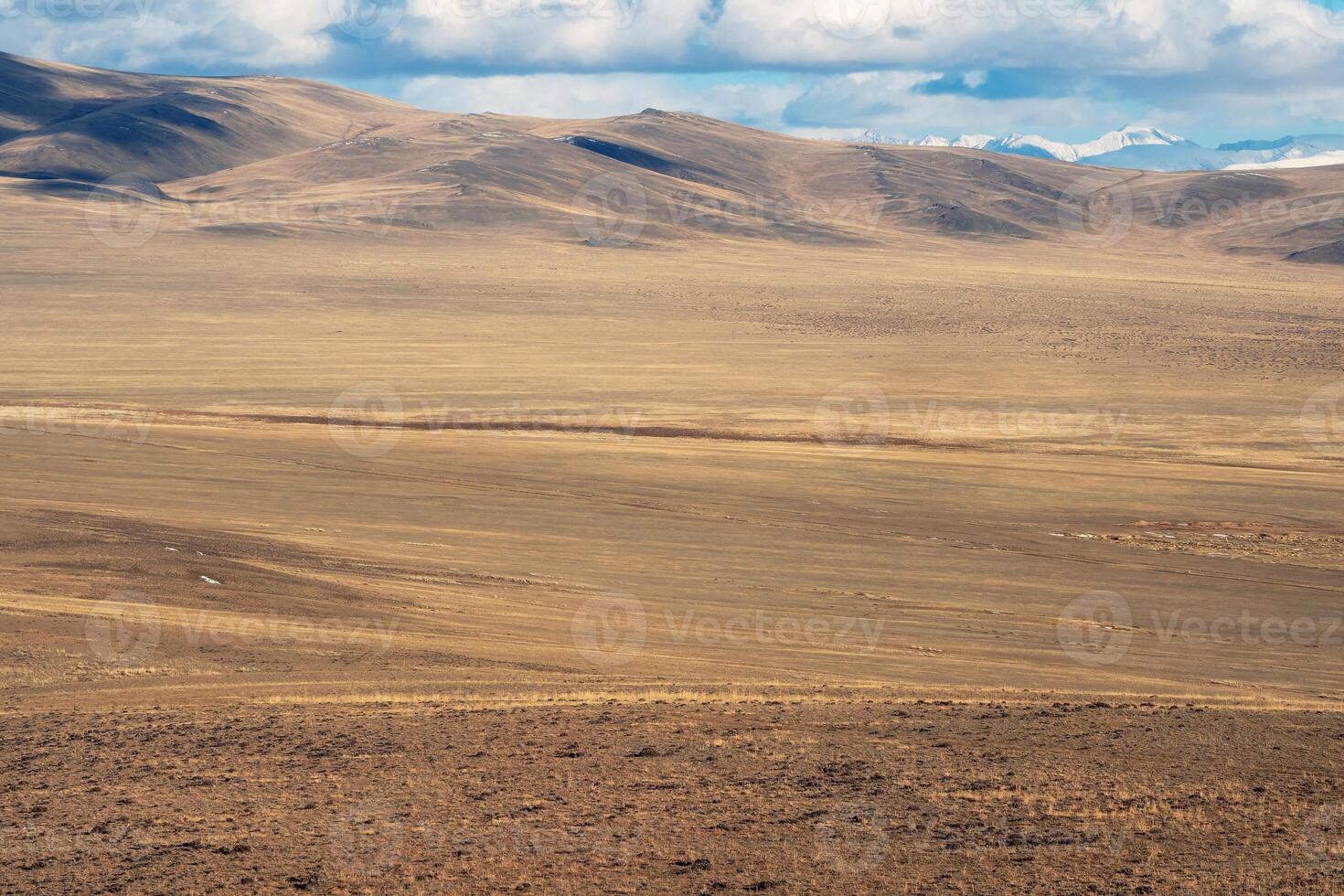 Alpine autumn pasture. Mongolia landscape. photo