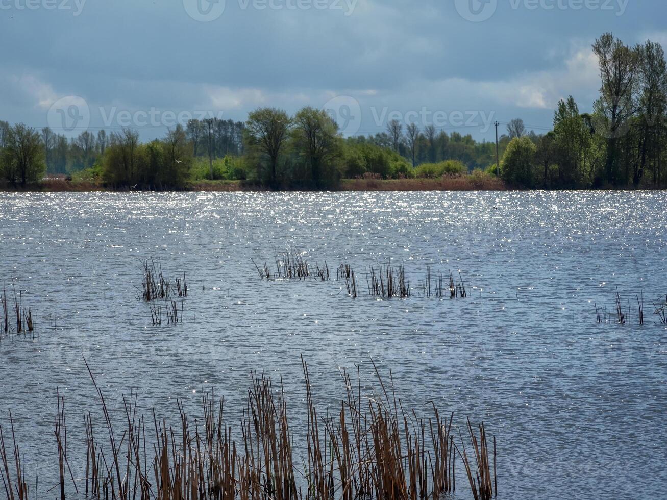 Colorful sunny spring landscape with sparkling water in the lake in the sun. photo