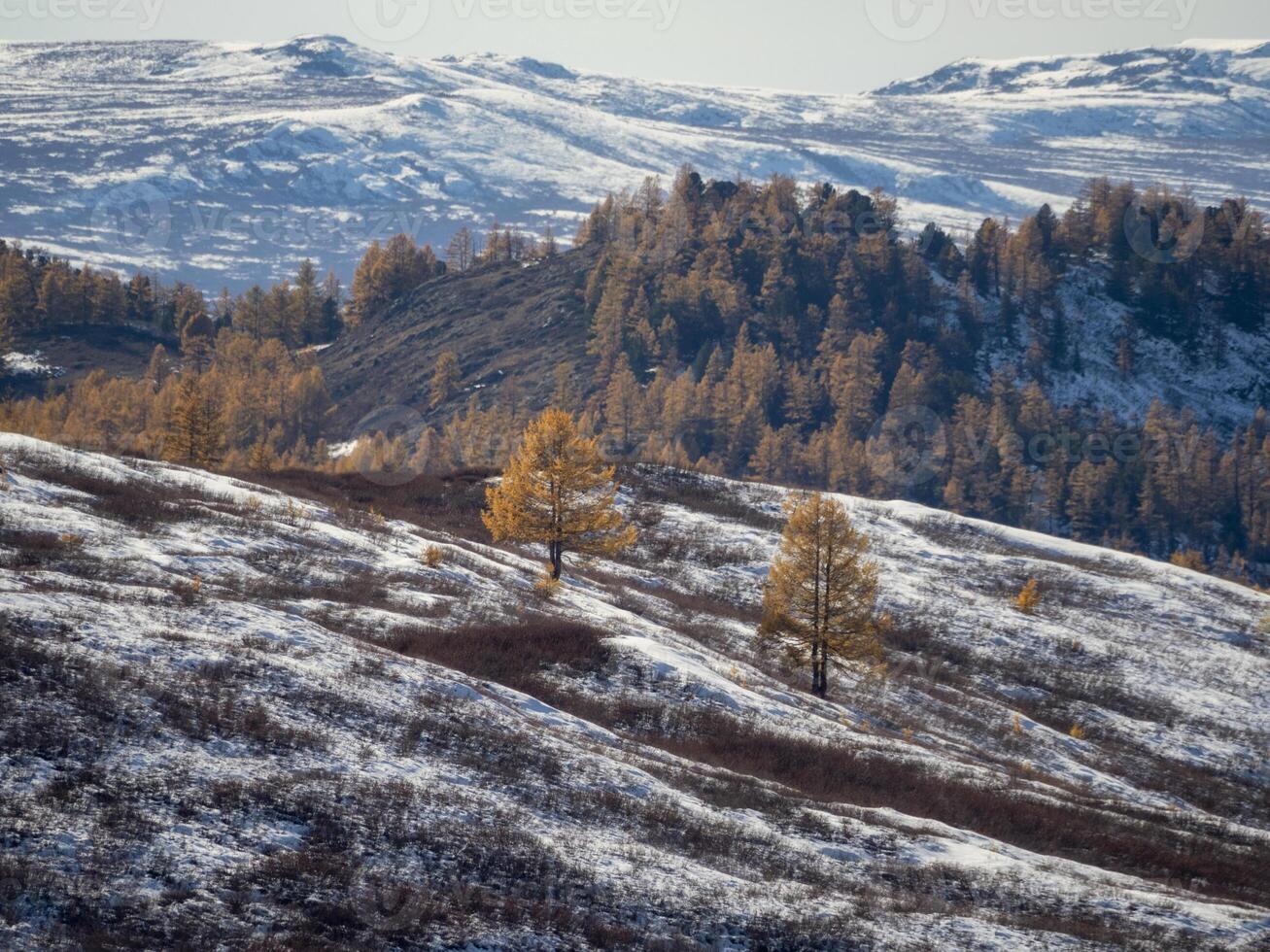 Foothills in late autumn and early winter. photo