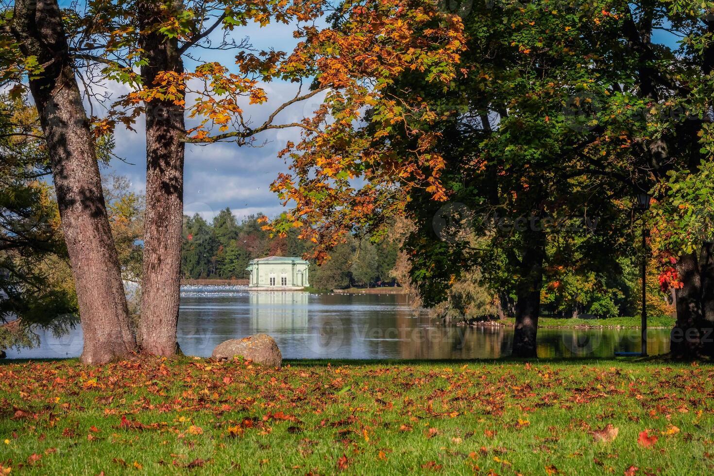 Beautiful autumn park, sunny weather, golden maples. Gatchina photo