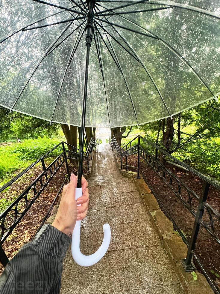 Female hand with umbrella. White transparent umbrella on the stairs. photo