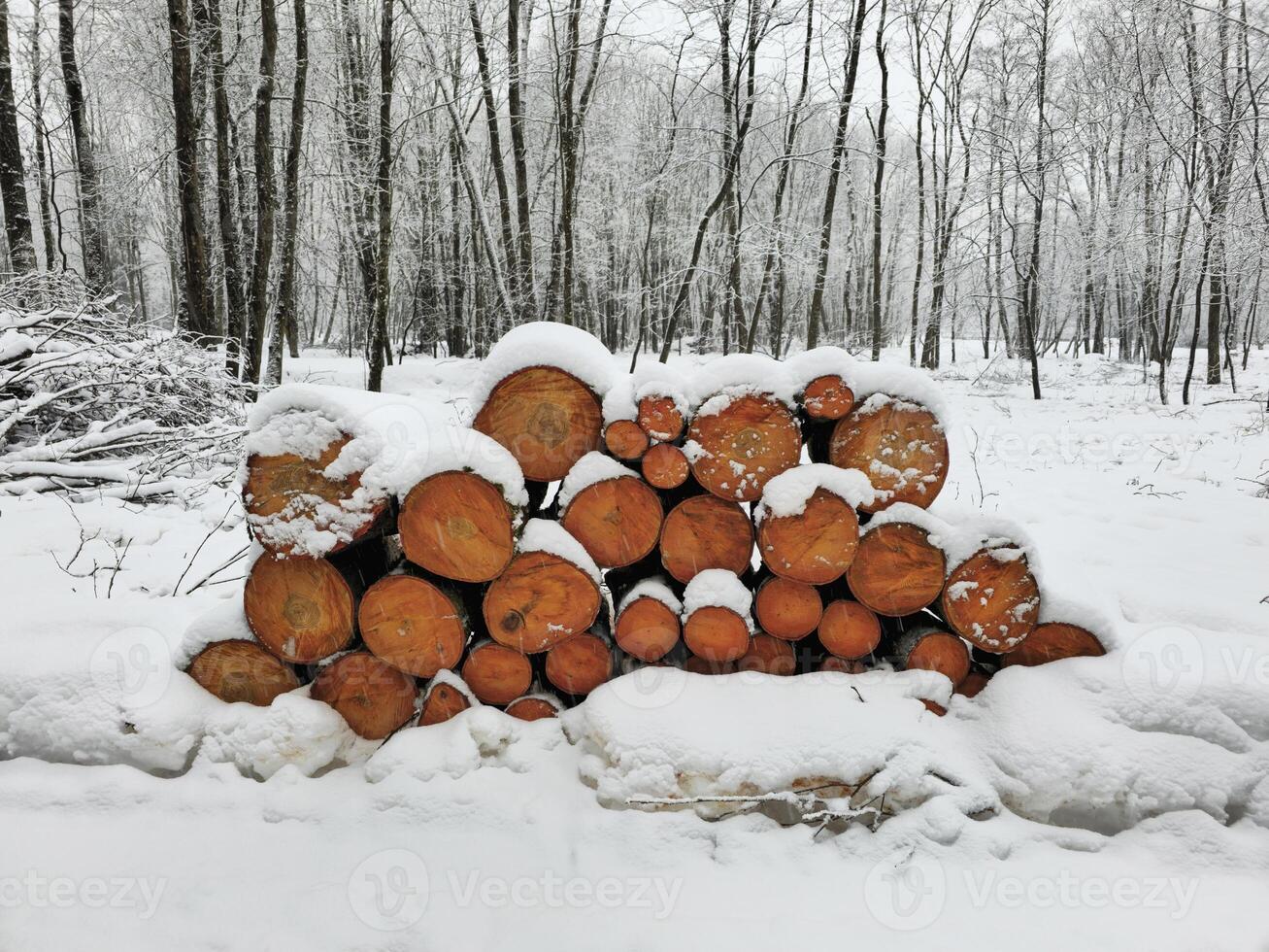 Firewood under the snow. Wooden logs and firewood under snow in the winter forest. photo