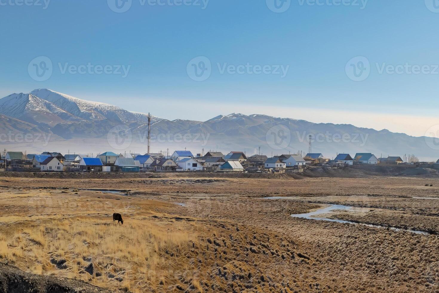 Russian siberian authentic village with a winding shallow river through a pasture and traditional ancient wooden houses. Wooden houses in an old Siberian Kosh-Agachvillage. Altai. photo