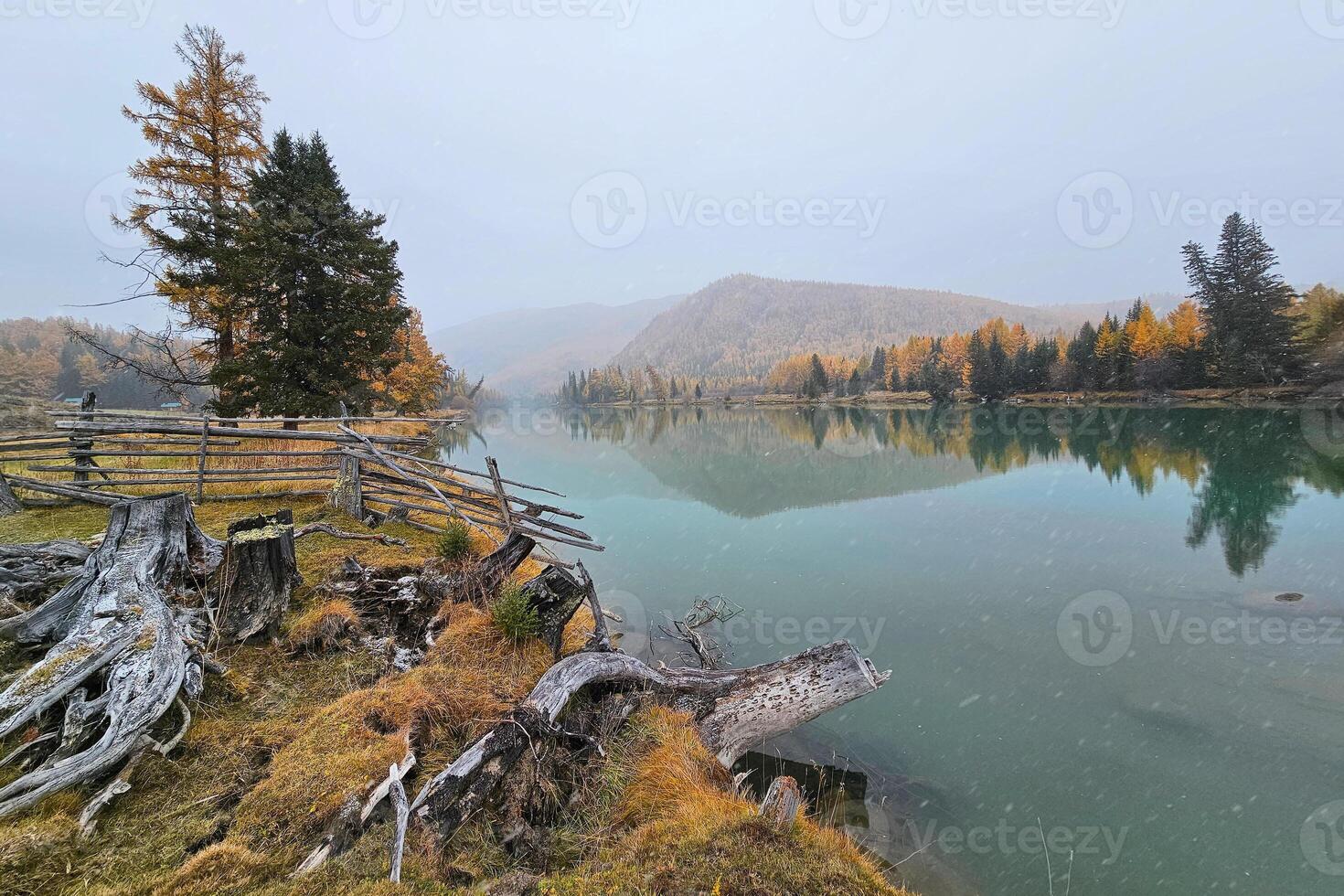 Mountain alpine autumn river with reflection forest in the bank. First snow is falling. In the foreground, stumps hang over the calm water surface. Picturesque traveling, nature beauty concept scene. photo