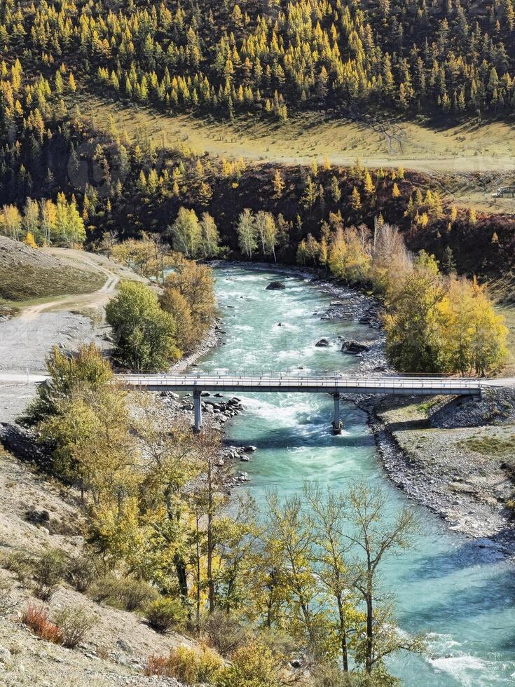 Vertical view to the bridge over the Chuya River. Mountain river on a background of autumn forest. photo