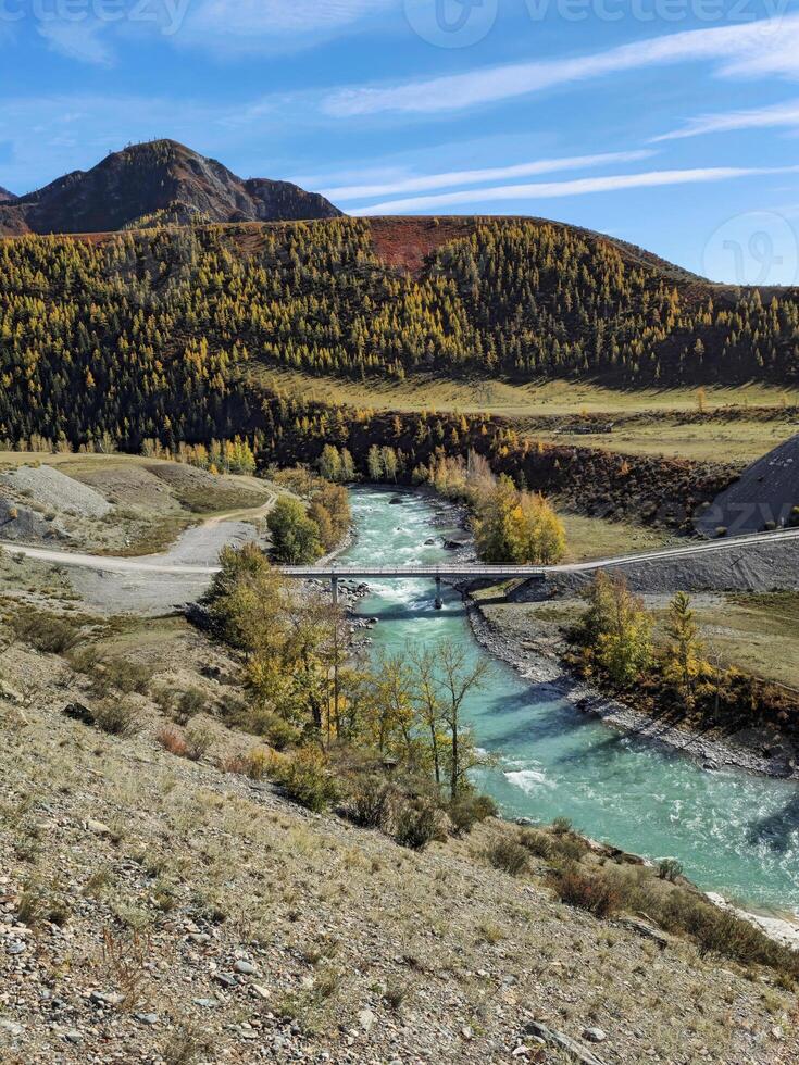 The bridge over the Chuya River. Mountain river on a background of autumn forest. photo