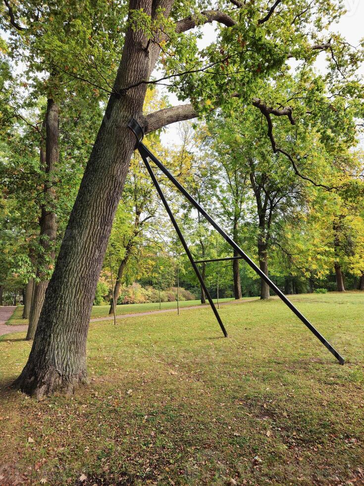 Support for heavy branches of old trees in the park. Caring for the environment, caring for nature concept. Vertical view. photo