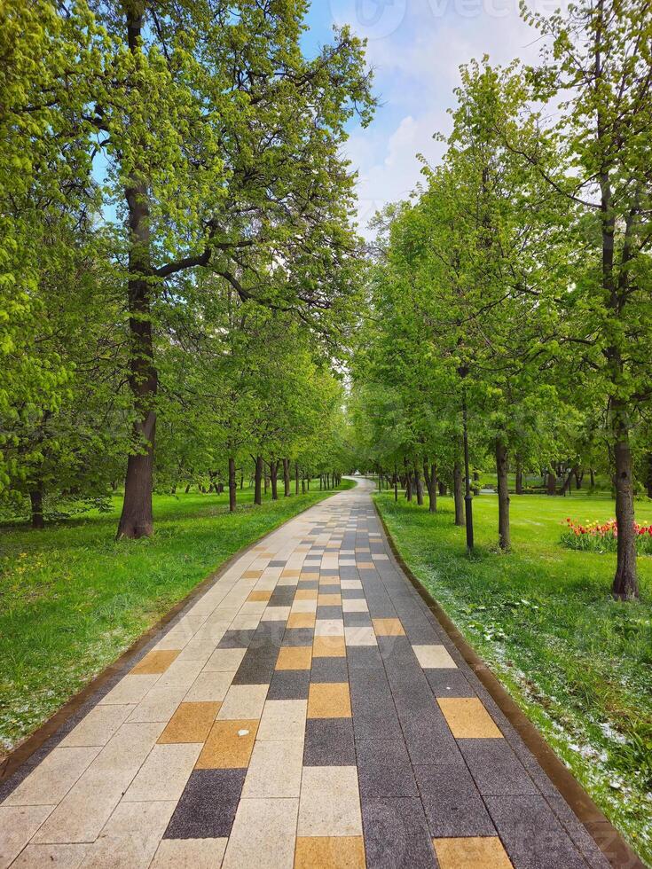 Park of the future Botanical garden Moscow, city green alley in spring. photo