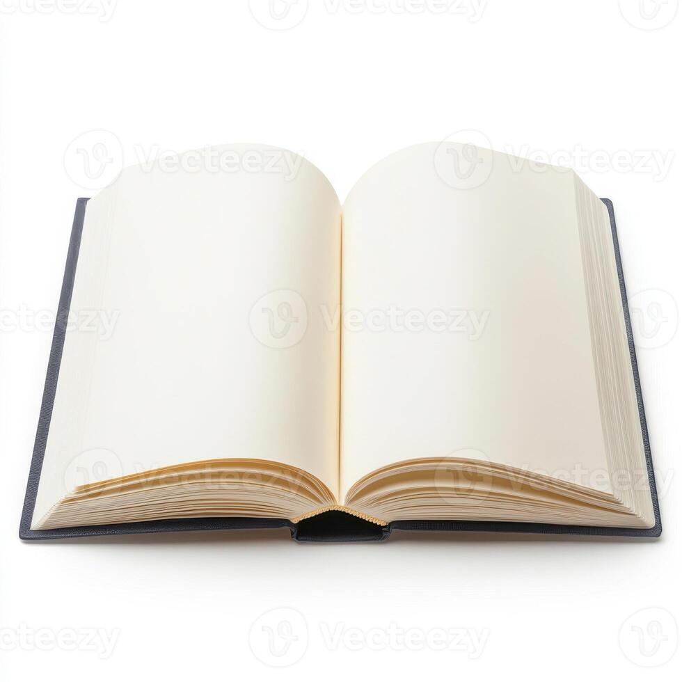 Blank pages await creative thoughts and ideas in a well-crafted personal journal or notebook for writing photo