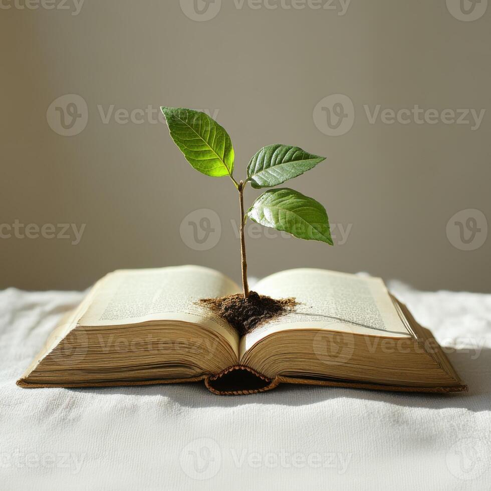 Book with a small plant growing from its pages on a light background symbolizes knowledge and nature's connection photo