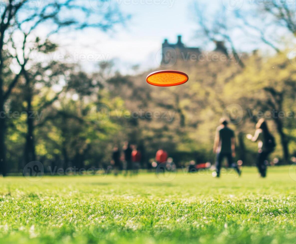 People enjoying a sunny day at the park while playing frisbee on a grassy field in the afternoon photo