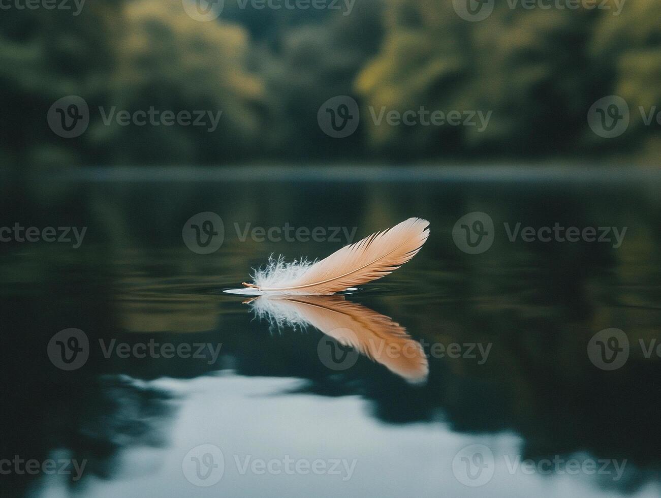 Close up of a delicate feather floating on still water at sunset with vibrant orange and pink hues - Variant 50 photo