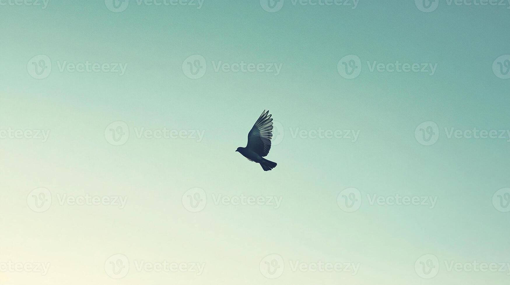a White bird soaring gracefully against soft blue sky symbolizing freedom, peace, and the beauty of flight in minimalist design photo