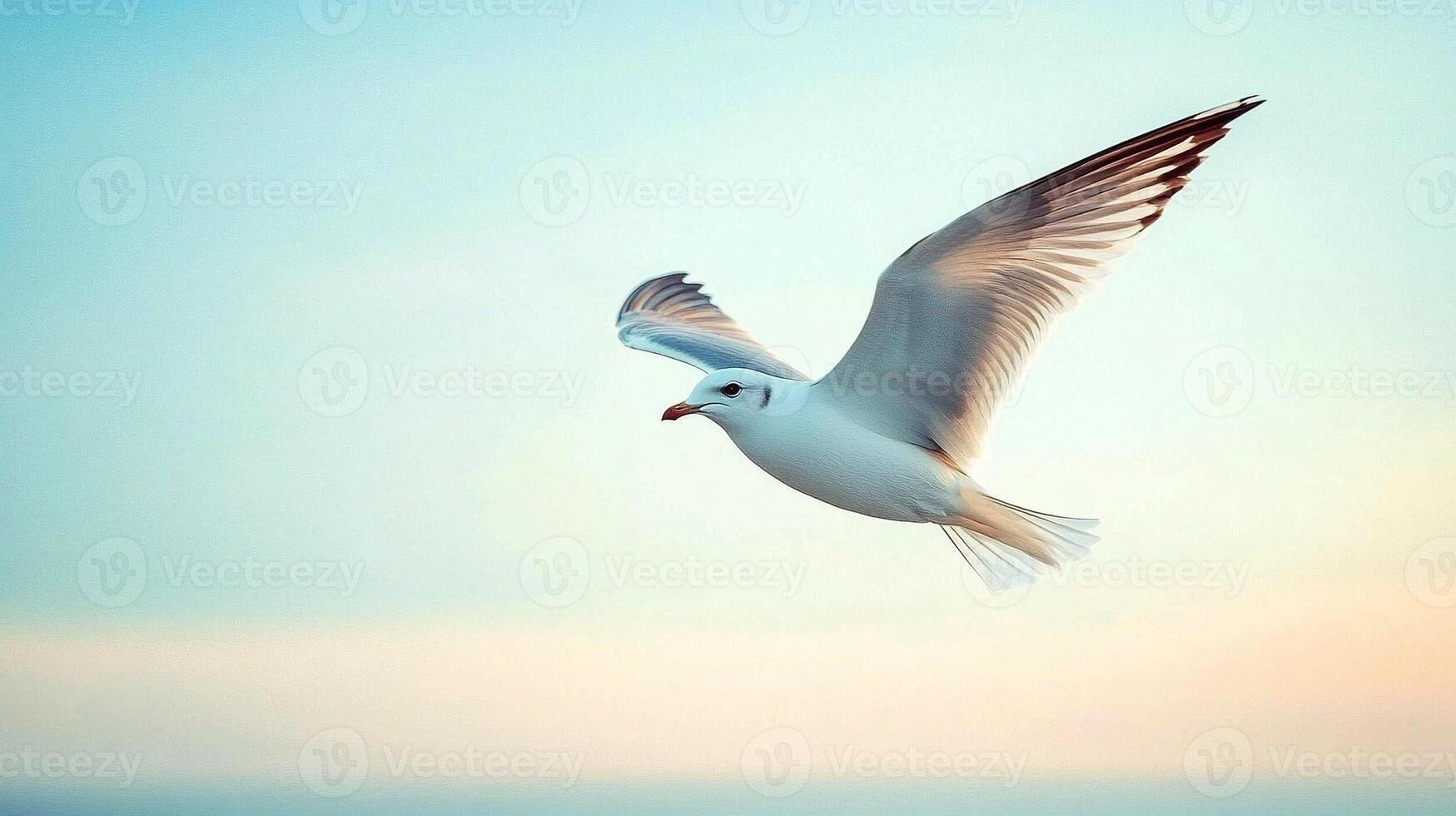 White bird soaring gracefully against a soft blue sky symbolizing freedom, peace, and the beauty of flight in minimalist design photo